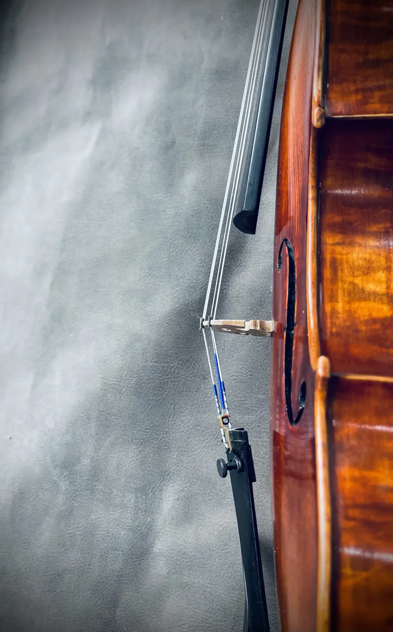 Chardon et Fils Paris 1903 Violin-9